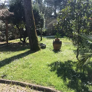 https://old-town-in-the-green-federicos-apartment.it-tuscanyhotel.com