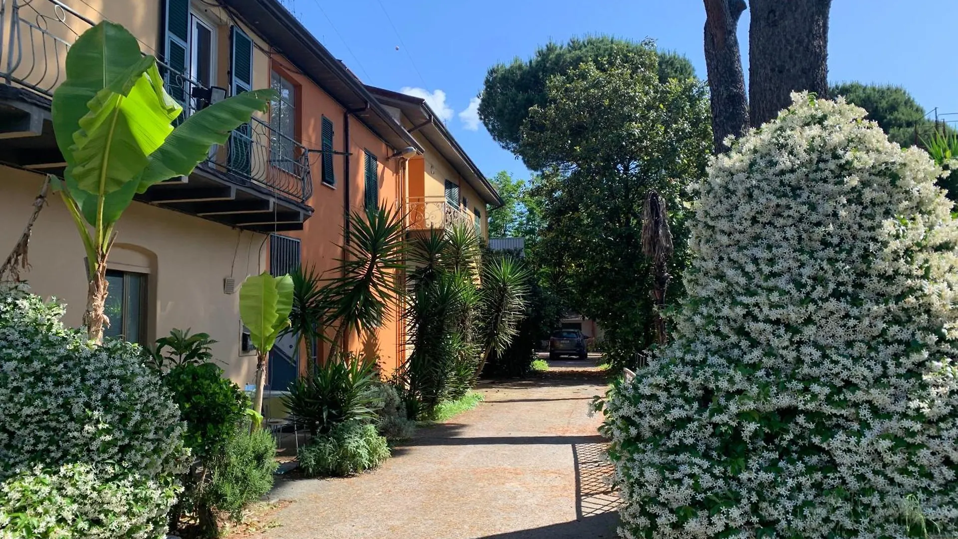 Vara Motel Self Check In Ceparana